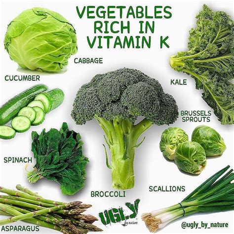 The 25 Best Vitamin K Ideas On Pinterest Vitamin K Deficiency