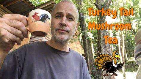 turkey tail mushroom tea youtube
