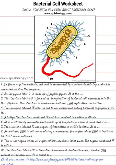 One major difference between viruses and bacteria is the method of reproduction. 1000+ images about All about bacteria on Pinterest ...