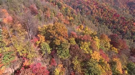 Dji Phantom 3 Flight Over Boone North Carolina Blue Ridge Parkway Fall