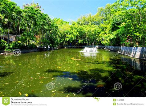 Pond Surrounded By Green Trees Stock Photo Image Of Blooming Stay