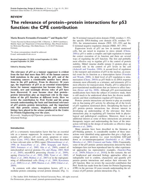 Wenn's um borussia dortmund und die südtribüne geht, schlagen die herzen höher. Pdf The Relevance Of Protein Protein Interactions For P53