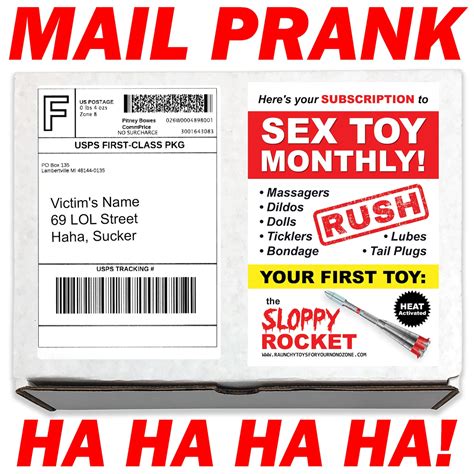 Prank Mail Sex Toy Monthly Prank Box Gag T Funny Prank Etsy