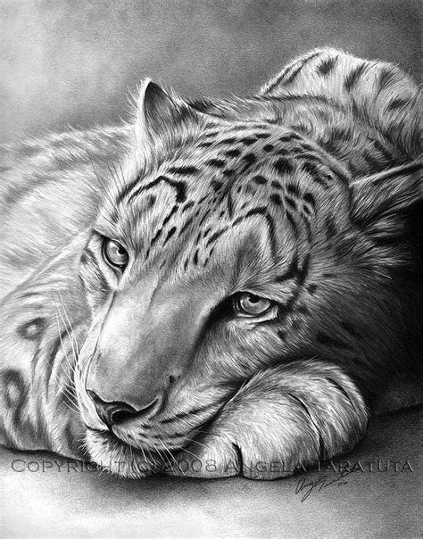 All about drawing sketch with pencil and watercolor ideas. ♥ Everything to Share ♥: ♥ - Incredible Drawings and ...