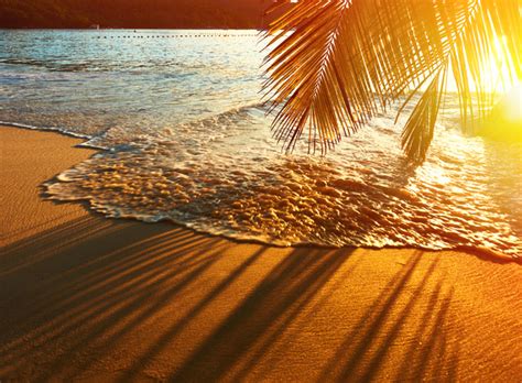 Beautiful Sunset Beach With Coconut Trees Stock Photo Nature Stock