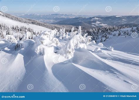 Forest Landscape On Winter Day Meadow Covered With Frost Trees In The
