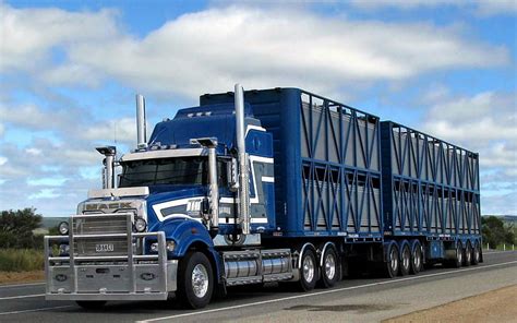 Hd Wallpaper Trucks Mack Trucks Australia Cattle Hauler Kenworth