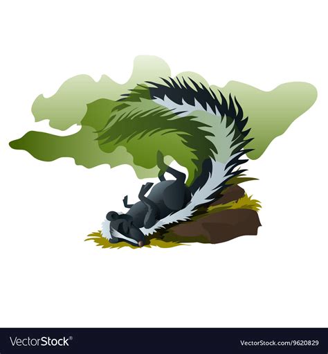 Funny Skunk Sleeps And Exudes Stinking Smell Vector Image
