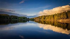 Norway, Forest, Lake, With, Reflection, Of, Blue, Sky, Trees, And