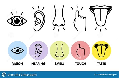 Icon Set Of Five Human Senses Vision Eye Smell Nose Hearing