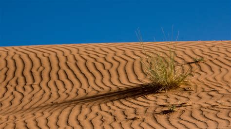 Desktop Wallpaper Sahara Desert Nature Hd Image Picture Background