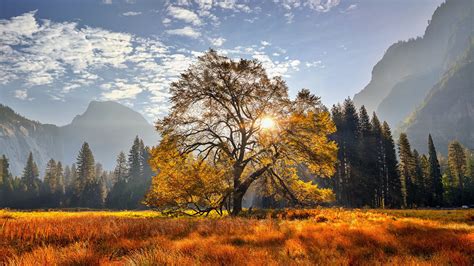 Yosemite National Park California Meadow Mountain With Trees Hd Nature