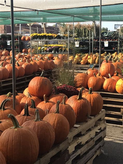 We would like to show you a description here but the site won't allow us. FAIRLESS HILLS GARDEN CENTER - 44 Photos & 36 Reviews ...