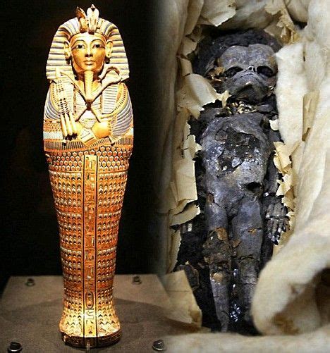 Foetuses Found In King Tutankhamuns Tomb Were His Twin Daughters