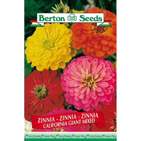 Berton Seeds Co Limited Zinnia California Giant Mix Seeds The Home