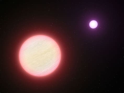A Very Cool Pair Of Brown Dwarfs W Video