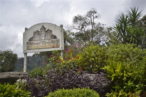 Hotel ini terletak di 80 hektar hutan alam di negara bagian pahang, 2.500 meter di atas permukaan laut. Nikaria Cherite: Percutian di Bukit Tinggi 1 (Colmar ...