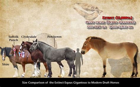 Giant Horse Equus Giganteus Prehistoric Animals Ancient Animals