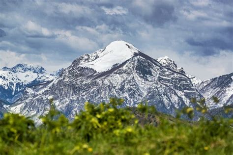 Dramatic Mountain Peak Covered By Snow With Green Foliage On Foreground