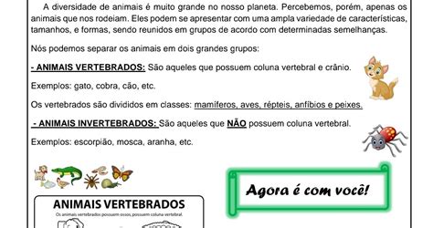 Ciências animais vertebrados e invertebrados Atividade de ciências sobre animais vertebrados e