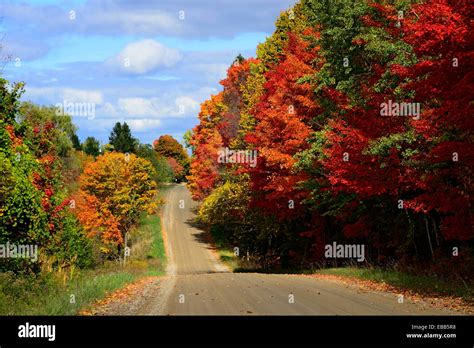 Country Road With Colorful Fall Leaves Autumn Trees Indiana Stock Photo