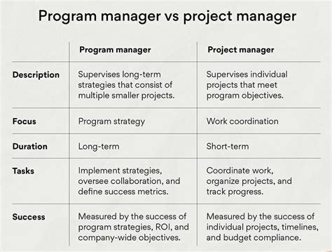Program Management Definition Roles Responsibilities