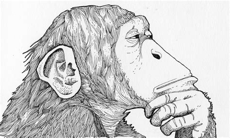 Monkey Line Drawing At Explore Collection Of