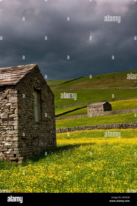 Sunny Day In The Yorkshire Dales Stock Photo Alamy