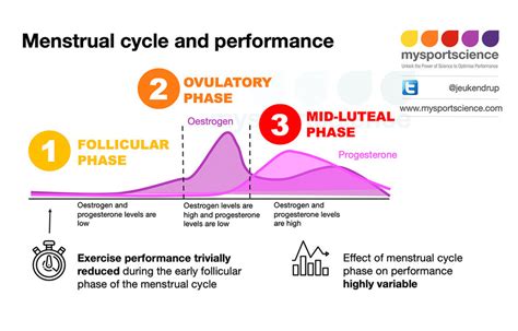 Effects Of Menstrual Cycle On Performance
