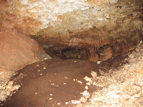 Bat Guano In Blanchard Springs Cave Episodik Flickr