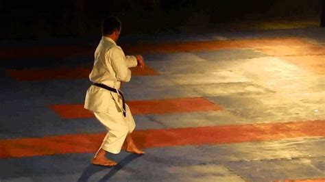 Frank Brandon Shihan Performing Kata Genkaku Goju Kai Karate Youtube