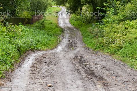 Wet Dirt Road On The Hillside With Washouts After Rain Stock Photo