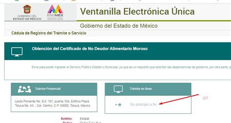 ⊛ Certificado De No Deudor Alimentario En México【2023