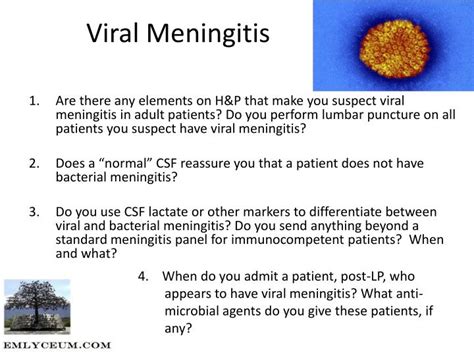Ppt Viral Meningitis Powerpoint Presentation Free