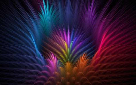 Feathers Colorful Abstract Wallpapers Hd Desktop And