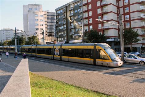 Metro transplantou dez árvores e abateu outra no jardim do carregal. Aplicação vai permitir andar de Metro sem Andante