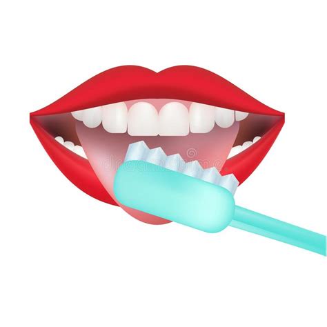 Vector Image On A White Background How To Brush Your Teeth Rightly