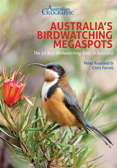 Australias Birdwatching Megaspots Australian Geographic