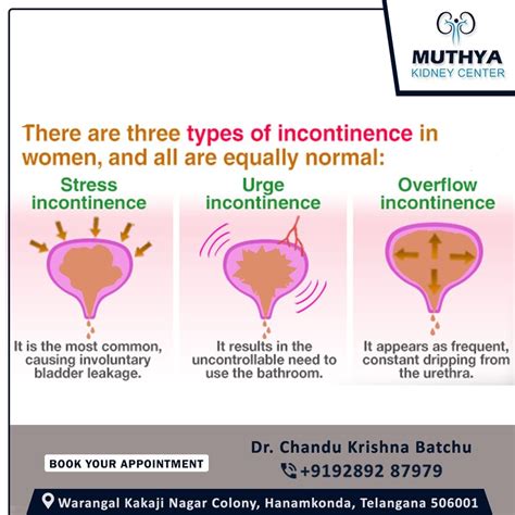 Urinary Incontinence — The Loss Of Bladder Control — Is A Common And Often Embarrassing Problem