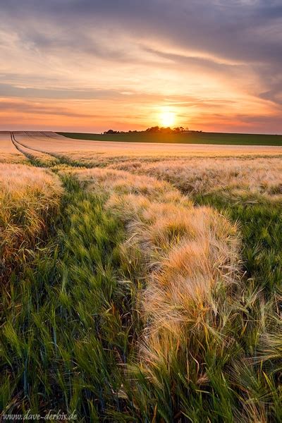 Countryside Sunset Idyll Brumby Germany Dave Derbis Photography
