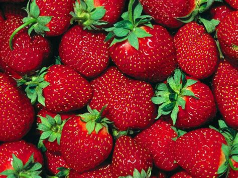 Strawberry - Fruit Photo (34914843) - Fanpop