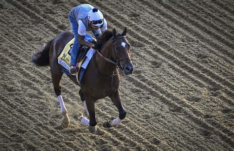 preakness 2023 lindseykievy