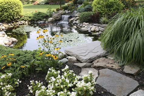 10 Best Garden Pond Building Practices