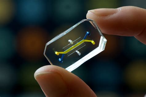 Human Organs On Chips Named Design Of The Year 2015