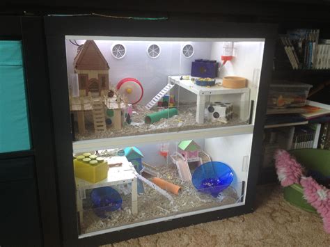 Make An Amazing Ikea Hamster Cage Hamster Diy Cage Hamster Diy