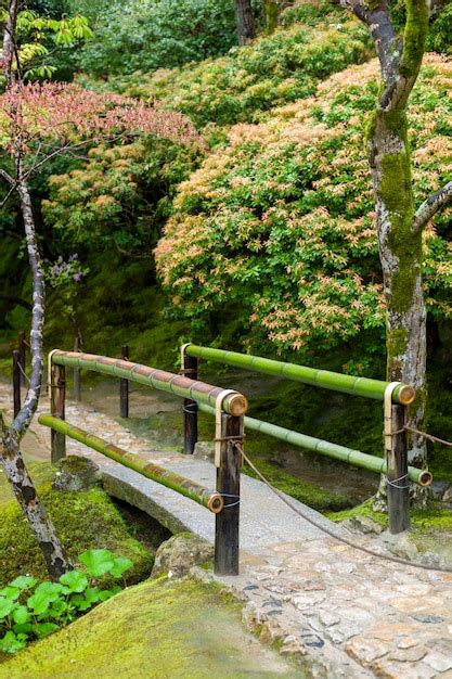 Tiny Bamboo Bridge In Japan Autumn Photo Free Download