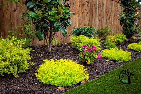 Texas Landscaping Ideas For Front Yard 6 Texas Landscape Must Haves