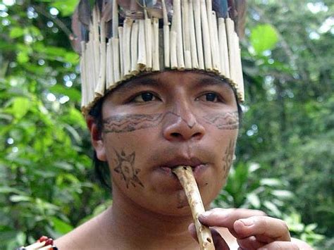 Indigene Völker Indigene Im Regenwald