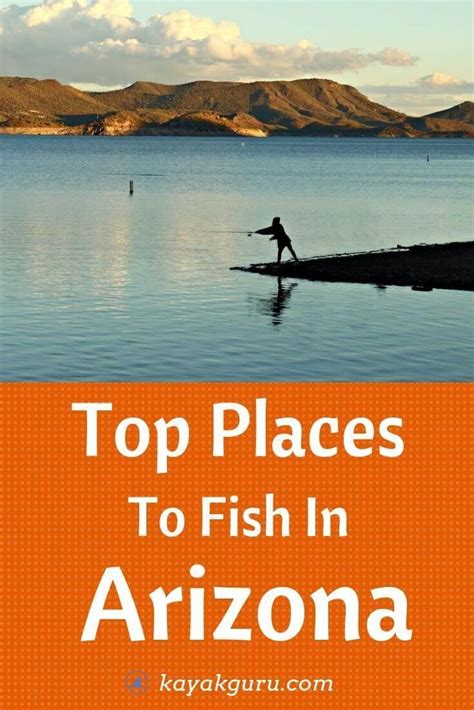 Whether you want to fish for relaxation or for the dinner table, you will have somewhere to go. Top Places To Fish In Arizona - Features the best 5 ...
