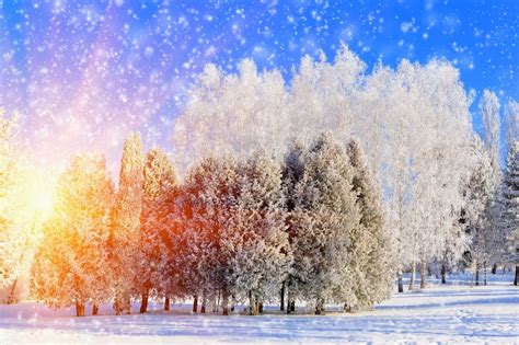 Nature Wallpapers Winter Wallpapers Download Hd Wallpapers And Free